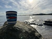 Вила под наем Тарфа