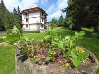 Apartment for rent Family Apart