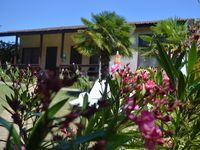 Villa Palmite