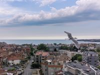 Apartment for rent Luks