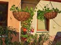 Guest house Tatyana