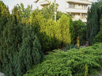 Guest house Tatyana