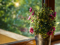 Guest house Tatyana
