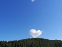 Вила под наем Каприз