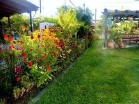 Вила Maddies Place