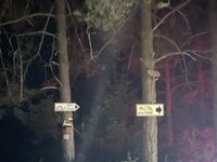 Вила под наем Елиас