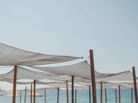 Вила Амая