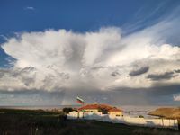 Каравана Густо Майна