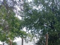Вила под наем Каста
