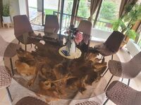 Guest house Elenski Ray