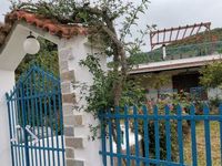 Villa for rent Lemon Tree Garden