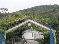 Villa for rent Lemon Tree Garden