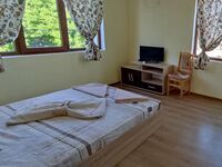Guest house Proynovi