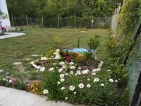 Вила под наем Леванти