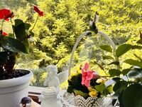 Къща под наем Изгрева