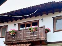House for rent Sveti Georgi