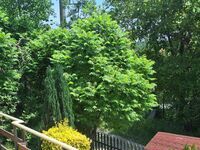 Гостевой дом Планинско утро