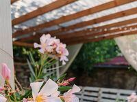 Guest house Vila vin santo