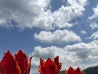 Къща под наем Панайотови