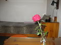 Family hotel Balkan