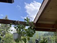 Villa for rent Mountain Villa F&F