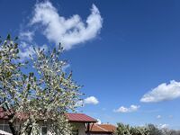 Стаи за гости Начовата къща
