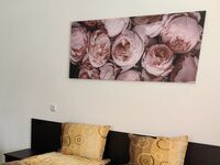 Къща под наем Avenue House