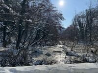 Къща за гости Алекс