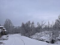 Къща за гости Алекс