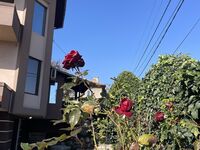 Гостевой дом Христов