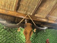 Къща под наем Падалото