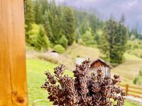 Villa for rent Shale Izgled