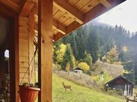 Villa for rent Shale Izgled