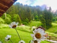 Villa for rent Shale Izgled