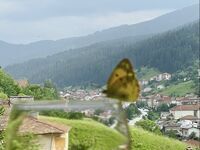 Villa for rent Shale Izgled