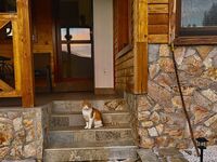 Villa for rent Shale Izgled