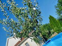 Вила под наем Христов