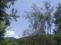 Стаи за гости Хармония