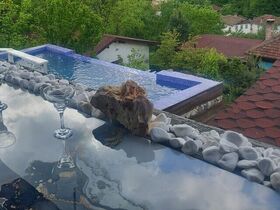 Вила Скален кът