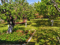 House for rent Starata kashta