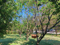 House for rent Starata kashta