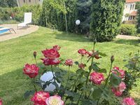 Guest house Roza