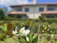 Guest house Lotos