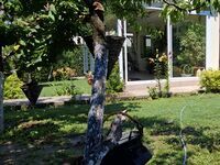 Guest house Spirkata