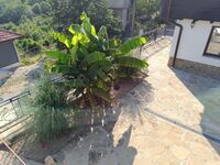 Guest house Na Skalata