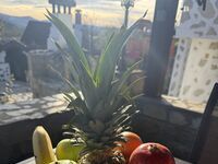 Къща под наем Longoz