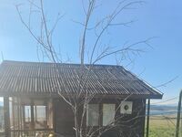 Вилно селище Маджестик