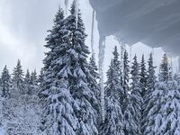 Вила Четири сезона