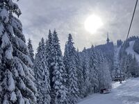 Вила Четири сезона