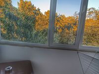 Къща за гости Боровата къща